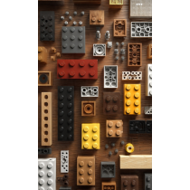 TOYS - CONSTRUCTION & BUILDING  (Lego / Cogo / Plastic Blocks & Construction / Wooden Blocks / DIY Metal
